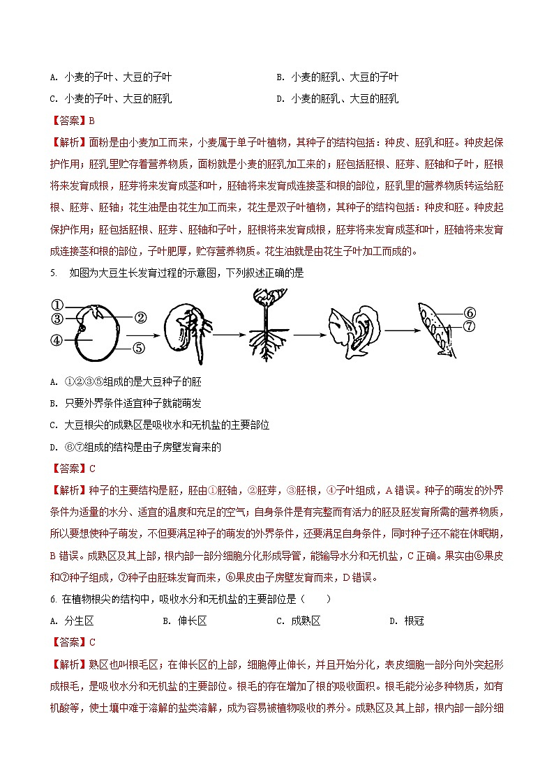 第三单元 被子植物的一生-2020-2021学年七年级生物上学期单元复习 试卷02