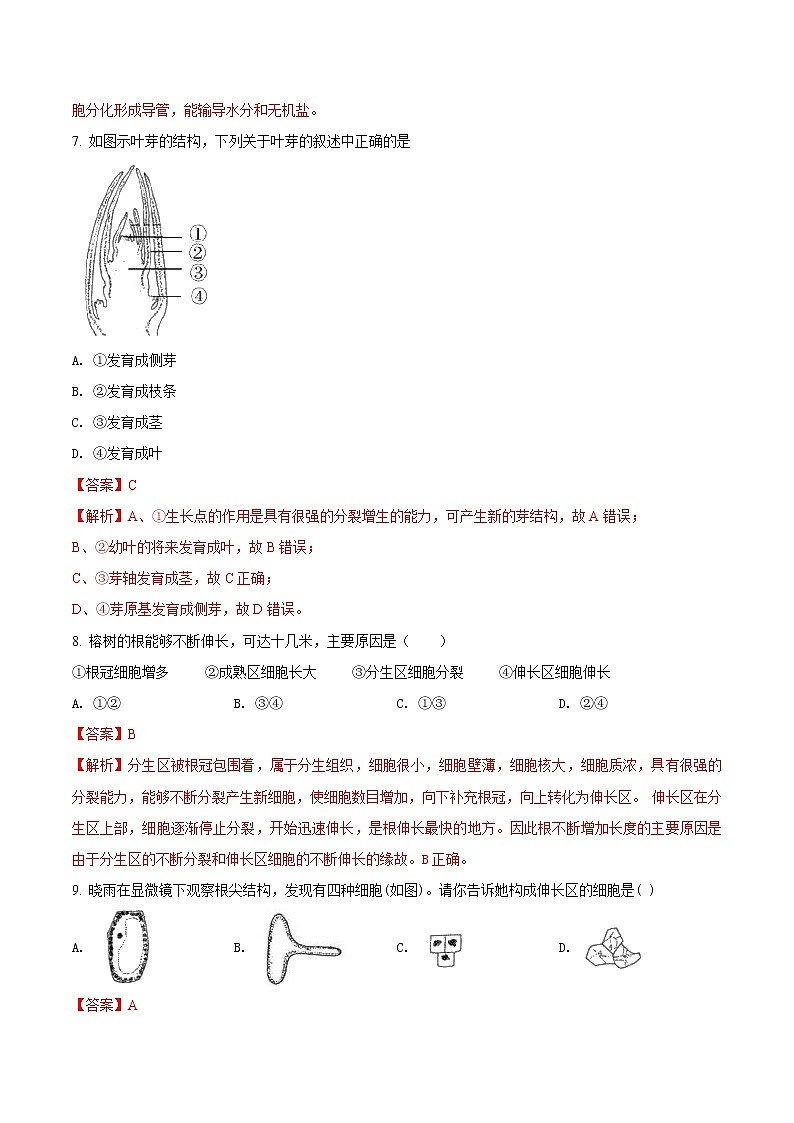 第三单元 被子植物的一生-2020-2021学年七年级生物上学期单元复习 试卷03