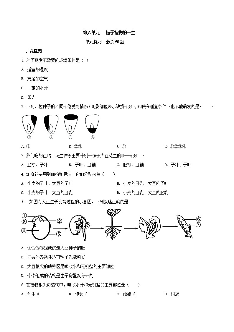 第三单元 被子植物的一生-2020-2021学年七年级生物上学期单元复习 试卷01