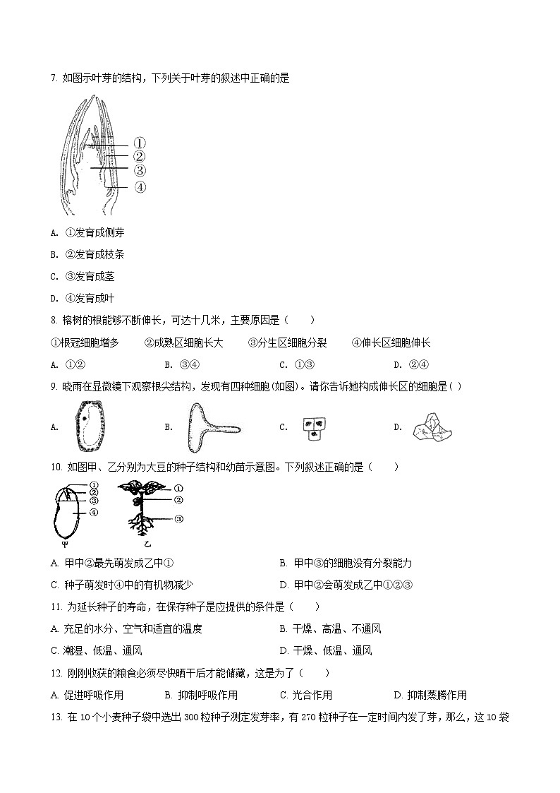 第三单元 被子植物的一生-2020-2021学年七年级生物上学期单元复习 试卷02