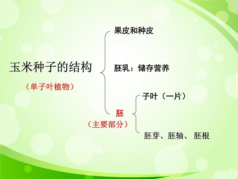 人教版生物七年级上册3.1.2种子植物  课件07