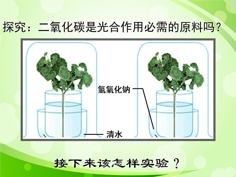 人教版生物七年级上册3.5.1光合作用吸收二氧化碳释放氧气  课件05