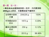 人教版生物七年级上册3.3绿色植物与生物圈的水循环  课件