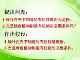 人教版生物七年级上册3.4绿色植物是生物圈中有机物的制造者  课件