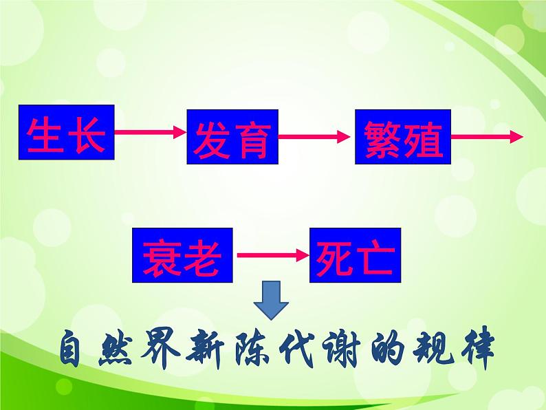 人教版生物七年级上册3.2.1种子的萌发  课件02