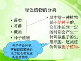 人教版生物七年级上册3.1.1藻类、苔藓和蕨类植物  课件