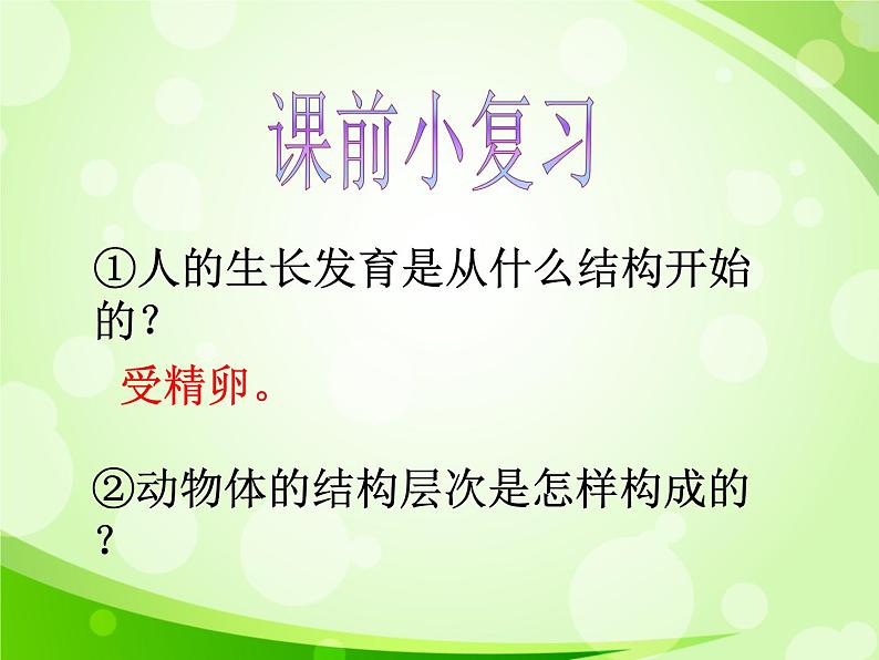 人教版生物七年级上册2.2.3植物体的结构层次  课件02