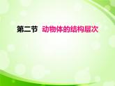 人教版生物七年级上册2.2.2动物体的结构层次  课件