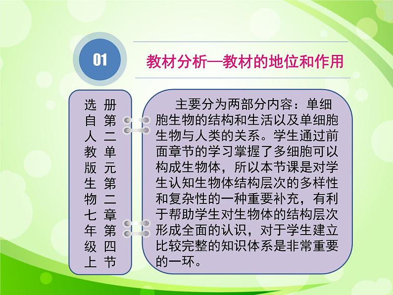 人教版生物七年级上册2.2.4单细胞生物  课件03