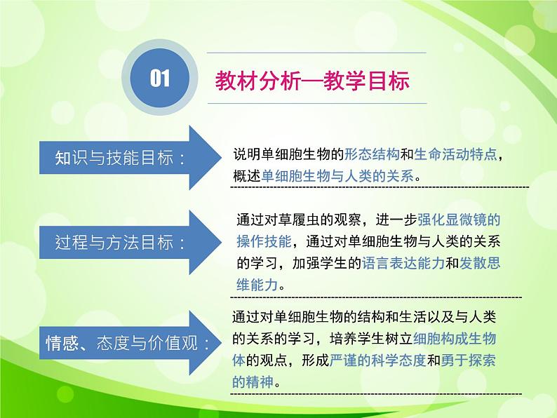 人教版生物七年级上册2.2.4单细胞生物  课件04