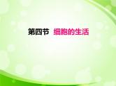 人教版生物七年级上册2.1.4细胞的生活  课件
