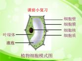 人教版生物七年级上册2.1.4细胞的生活  课件