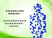 人教版生物七年级上册2.1.4细胞的生活  课件