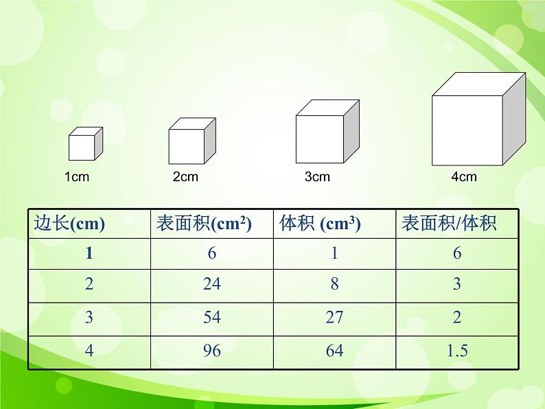 人教版生物七年级上册2.2.1细胞通过分裂产生新细胞  课件07