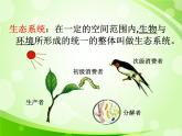 人教版生物七年级上册1.2.2生物与环境组成生态系统  课件