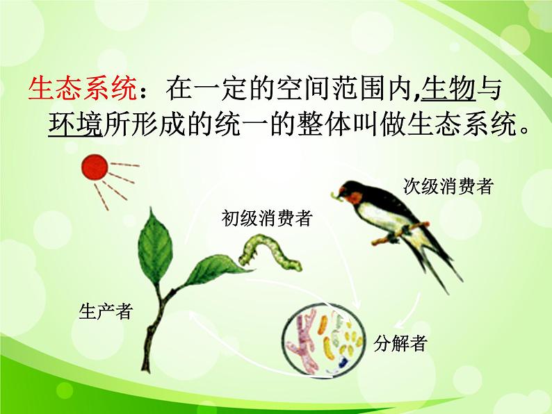 人教版生物七年级上册1.2.2生物与环境组成生态系统  课件03