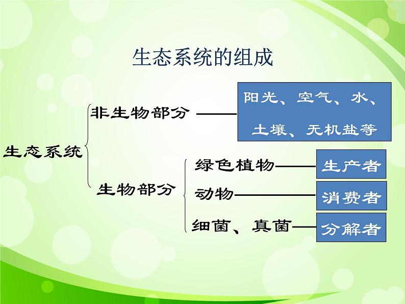 人教版生物七年级上册1.2.2生物与环境组成生态系统  课件04