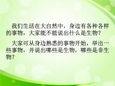 人教版生物七年級上冊1.1.1生物的特征  課件