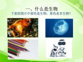 人教版生物七年級上冊1.1.1生物的特征  課件