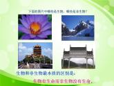人教版生物七年級上冊1.1.1生物的特征  課件