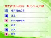 人教版生物七年級上冊1.1.2調(diào)查周邊環(huán)境中的生物  課件