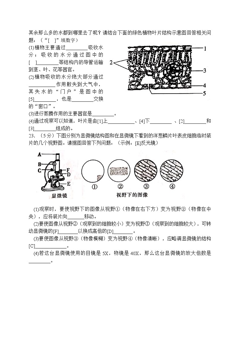 第一学期七年级生物期末教学质量检测试卷（word精编版，含答案）第3页