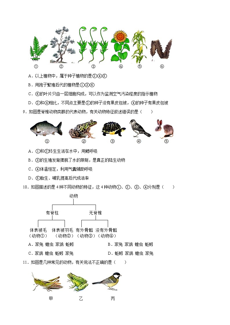 人教版生物八年级上第六单元测试题第2页