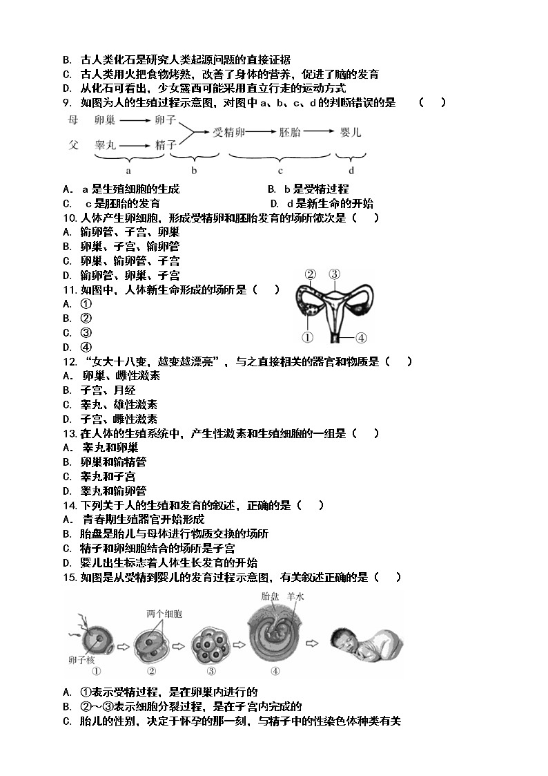 人教版七年级下第四单元 第一章 《人的由来》测试题第2页