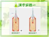 人教版七年级上册生物 3.5.2 绿色植物的呼吸作用 课件 (共30张PPT)