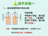 人教版七年级上册生物 3.5.2 绿色植物的呼吸作用 课件 (共30张PPT)