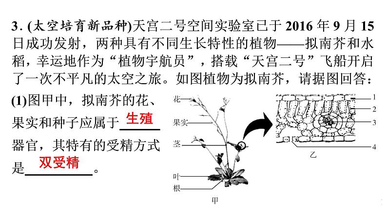 非选择题训练——社会热点专题 课件北师大版七年级生物上册第7页