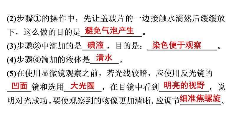 非选择题训练——实验探究题 课件北师大版七年级生物上册03