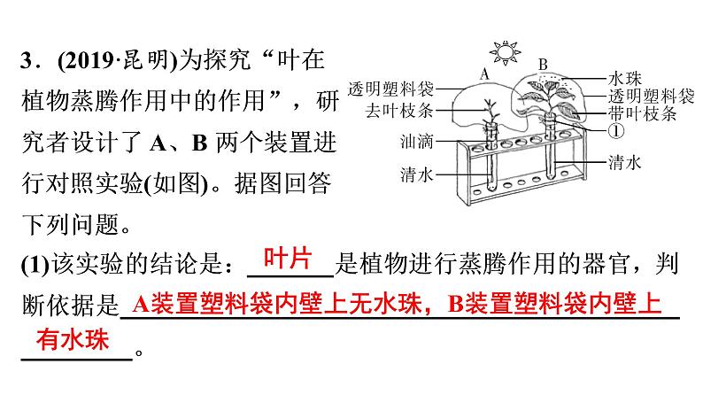 非选择题训练——实验探究题 课件北师大版七年级生物上册07