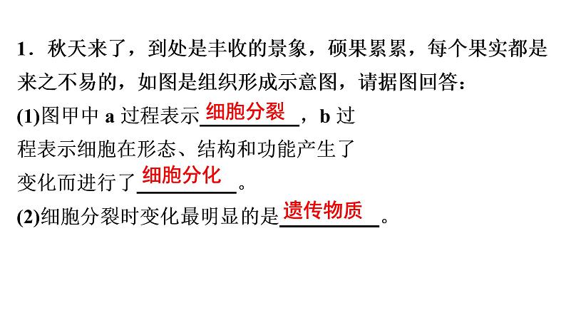 非选择题训练——综合应用题 课件北师大版七年级生物上册第2页