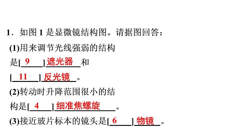 非选择题训练——读图理解题 课件北师大版七年级生物上册02