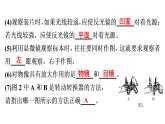 非选择题训练——读图理解题 课件北师大版七年级生物上册