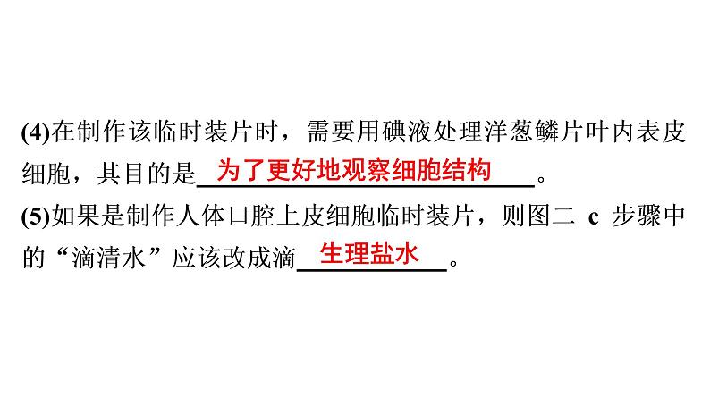 非选择题训练——读图理解题 课件北师大版七年级生物上册06