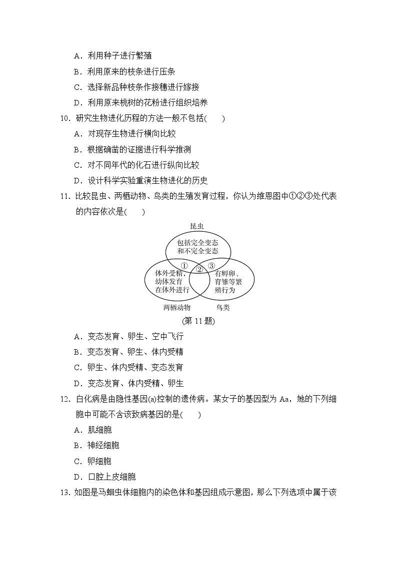 人教版八年级下册生物期中达标测试卷03