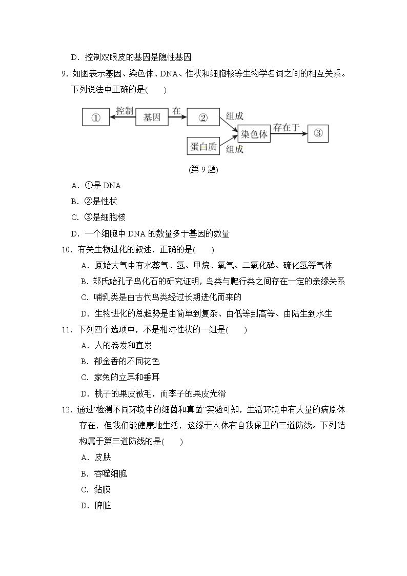 人教版八年级下册生物期末达标测试卷03