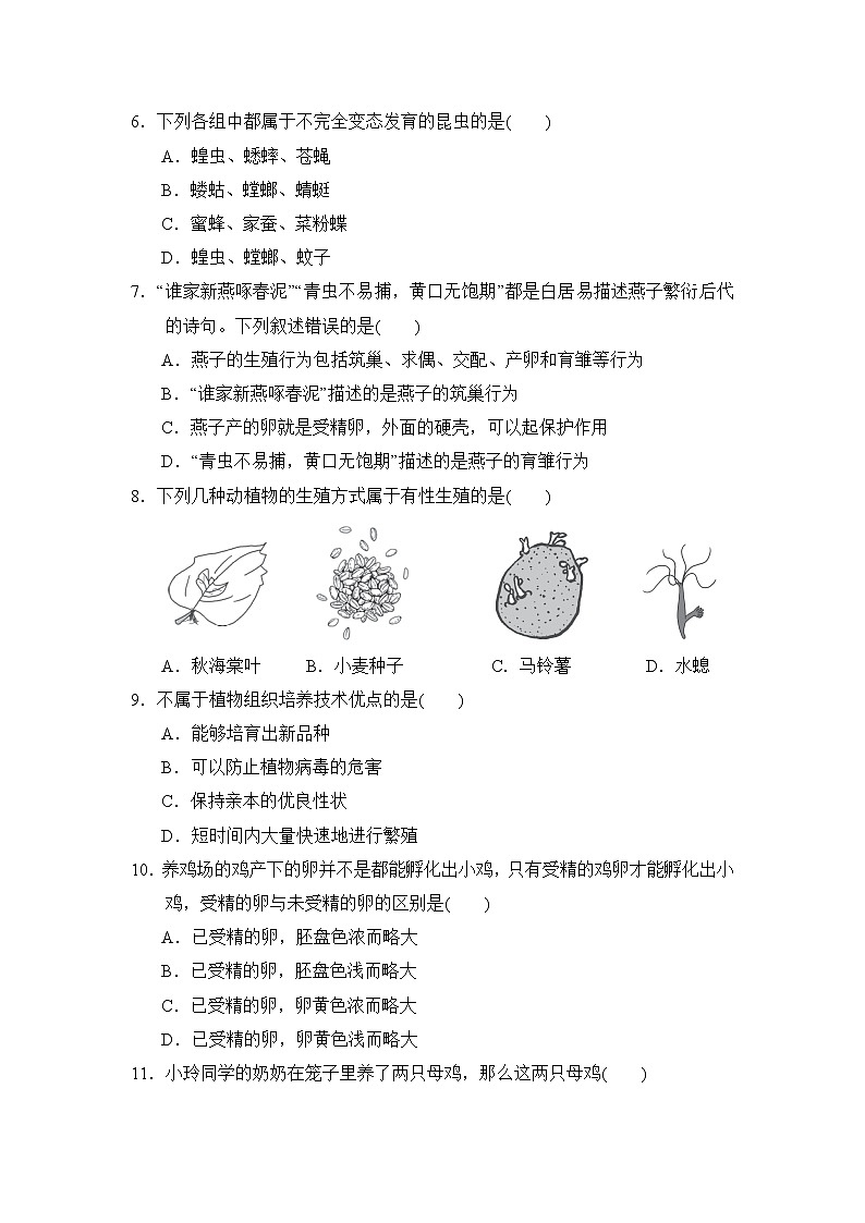 人教版八年级下册生物第七单元第一章达标测试卷02