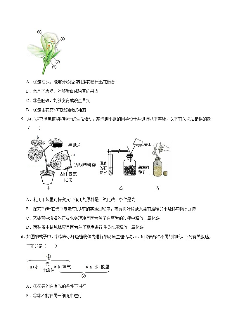 精品：人教版七年级生物上学期第三单元 《生物圈中的绿色植物》单元测试卷02