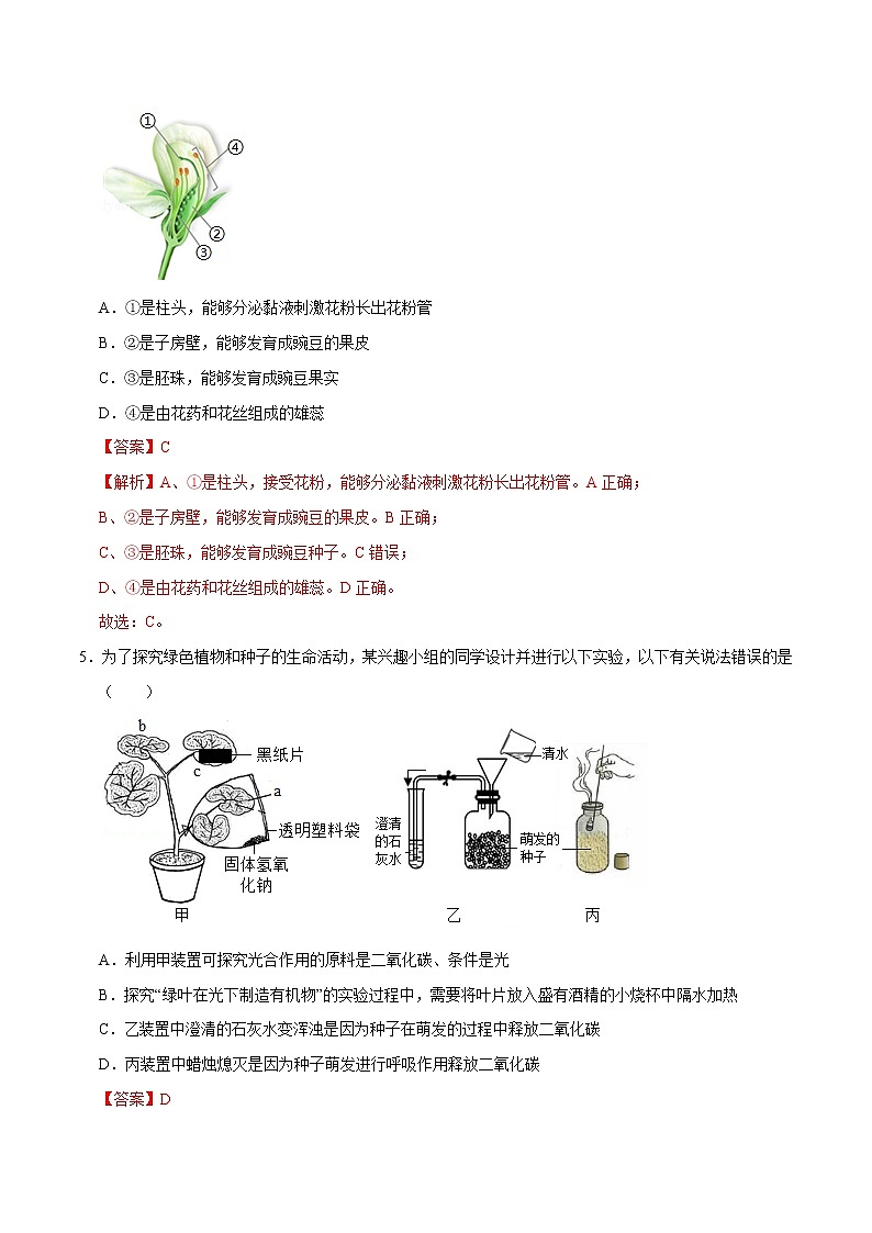 精品：人教版七年级生物上学期第三单元 《生物圈中的绿色植物》单元测试卷03