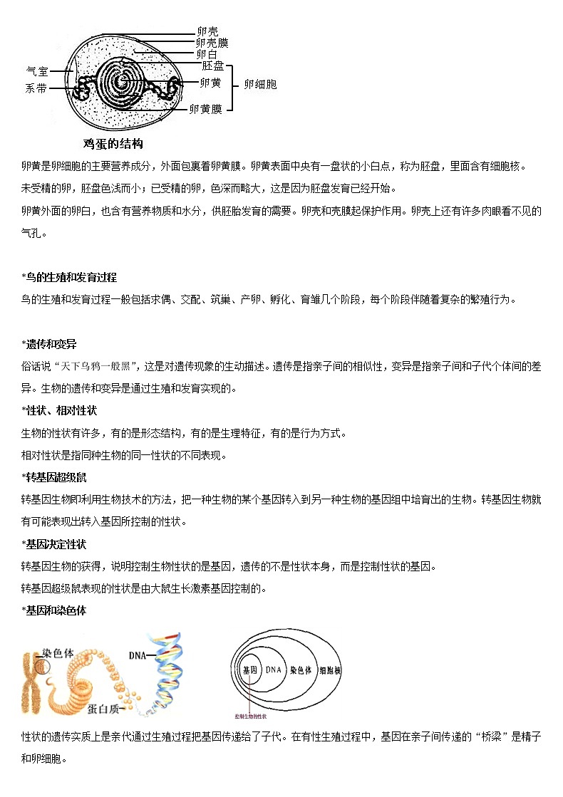 2020人教版初中生物八年级下册知识点汇总 学案03