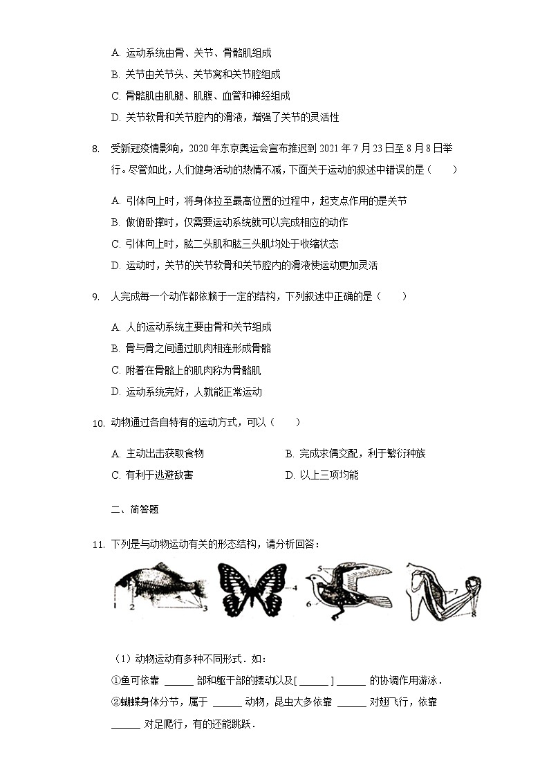 北师大版生物八年级上册第五单元第15章动物的运动检测题（附答案）精品试题02
