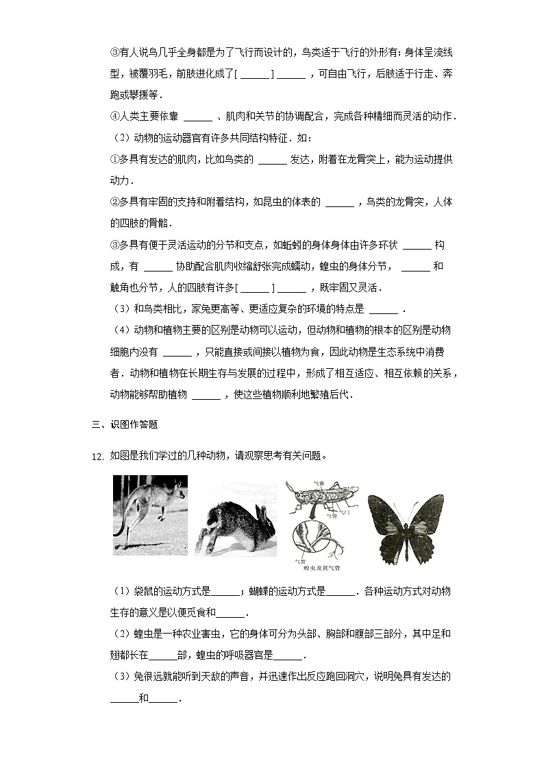 北师大版生物八年级上册第五单元第15章动物的运动检测题（附答案）精品试题03