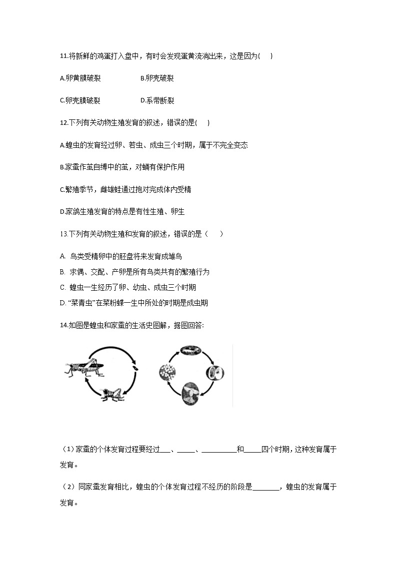 北师大版生物八年级上册6.19.2动物的生殖和发育（解析版）精品试题03
