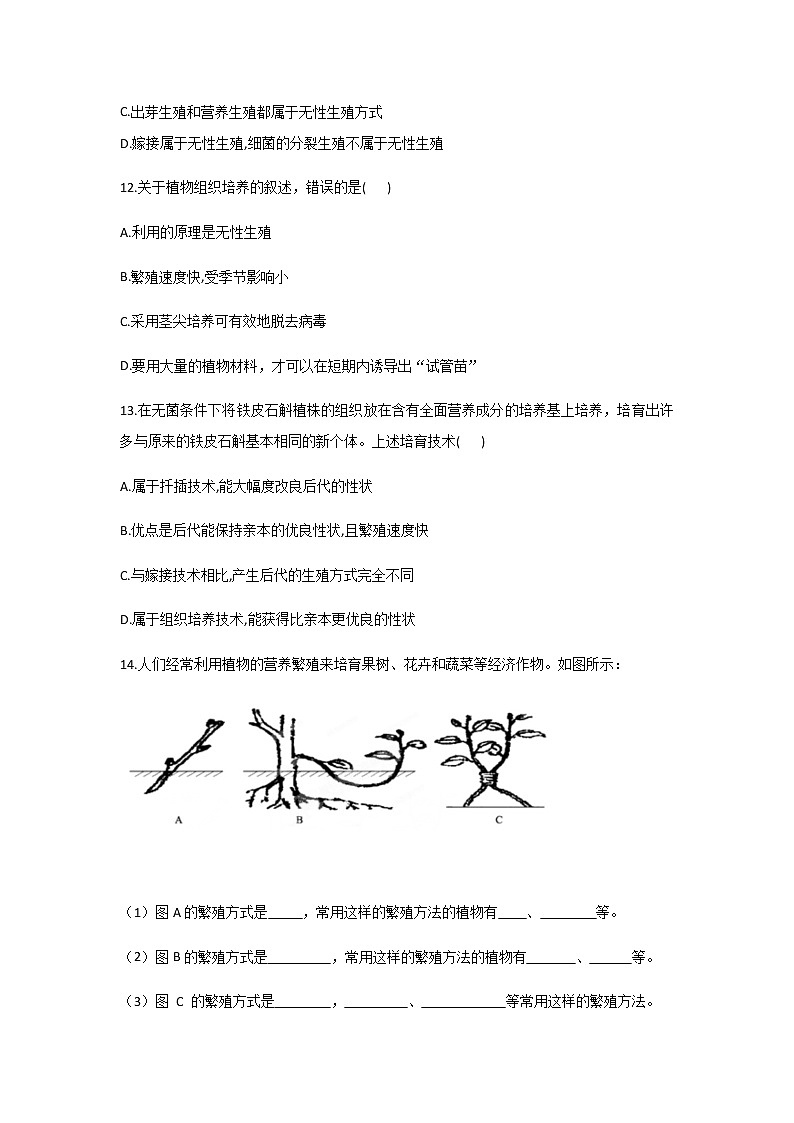 北师大版生物八年级上册6.19.3植物的生殖方式（解析版）精品试题03