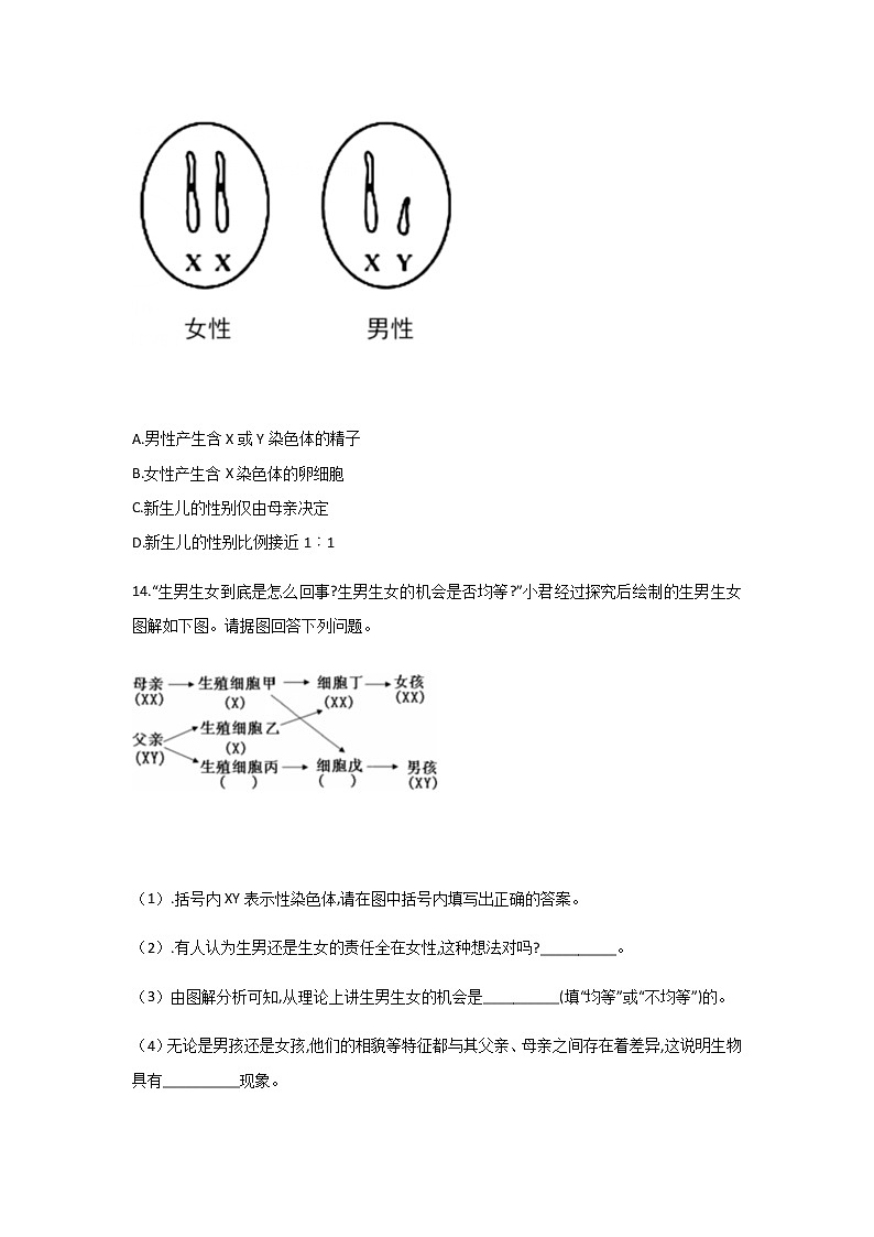 北师大版生物八年级上册6.20.4性别和性别决定（解析版）精品试题03