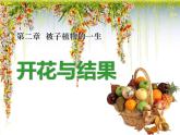 人教版生物七年级上册：3.2.3开花和结果（共47张PPT）课件