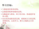 人教版生物七年级上册：3.2.3开花和结果（共47张PPT）课件